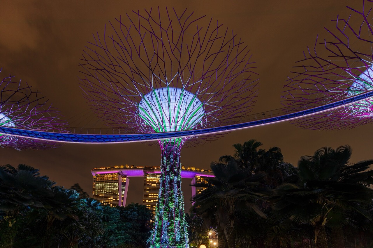 Supertree Grove at Gardens by the Bay, Singapore
